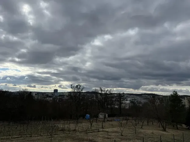 Pronájem chaty, Brno, Kostelní zmola, 40 m2