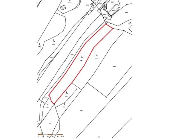 Prodej lesa, Velké Meziříčí, 3927 m2