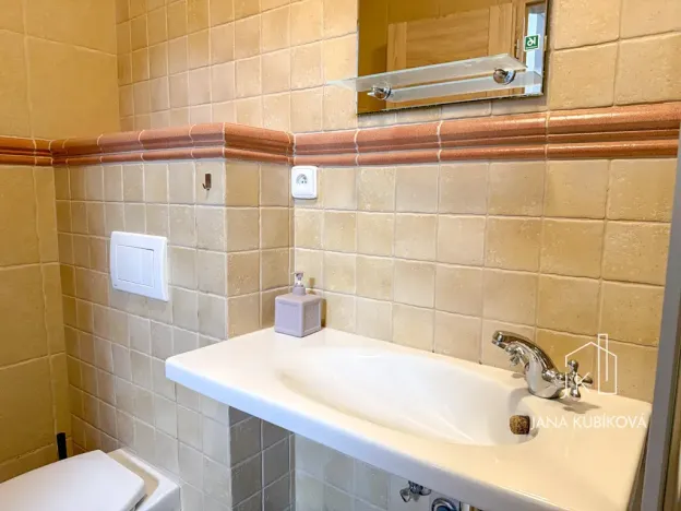 Pronájem ubytování, Valtice, Josefská, 251 m2