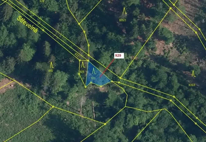 Dražba lesa, Jílové u Držkova, 151 m2