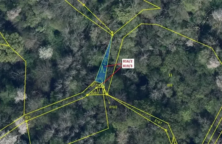 Dražba lesa, Zubrnice, 85 m2