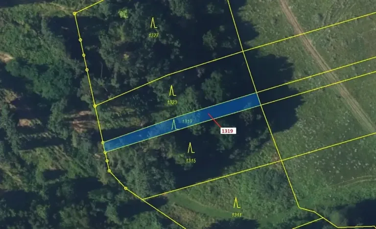 Dražba lesa, Spešov, 316 m2