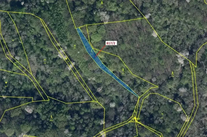 Dražba lesa, Zubrnice, 815 m2