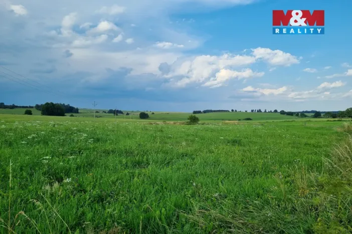 Prodej rodinného domu, Teplá - Poutnov, 142 m2