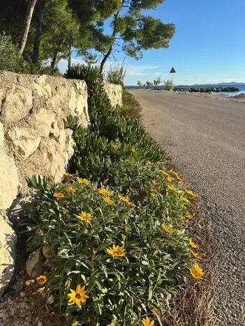 Prodej vily, Vir, Chorvatsko, 129 m2