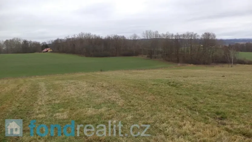 Prodej pole, Srby, 24690 m2