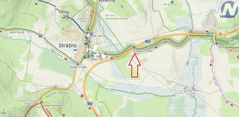 Prodej pozemku pro bydlení, Strážný, 2500 m2