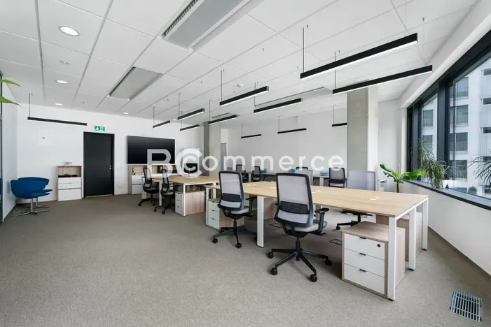 Pronájem kanceláře, Brno, 235 m2