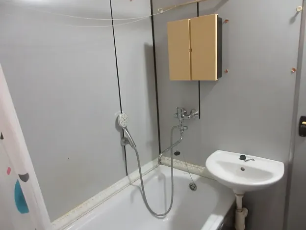 Prodej bytu 1+1, Hluk, Závodní, 42 m2