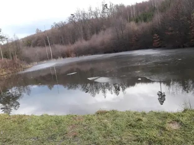 Pronájem rybníku, Zlín, 6507 m2