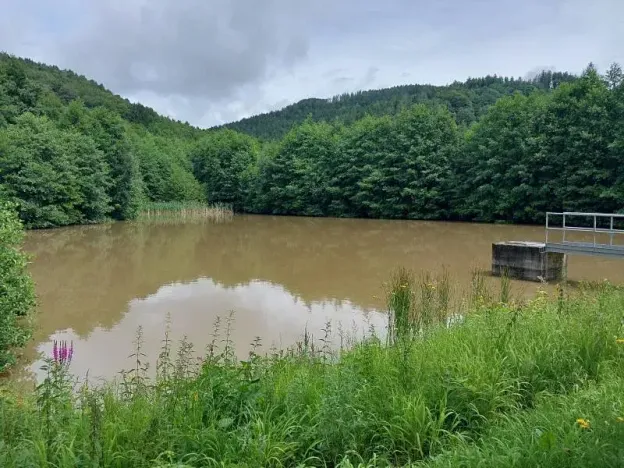 Pronájem rybníku, Slopné, 4871 m2