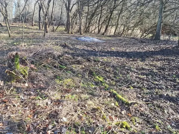 Dražba pozemku pro bydlení, Slavonice, 634 m2