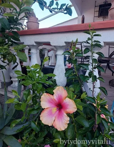 Prodej rodinného domu, Scalea, Kalábrie, Itálie, 68 m2