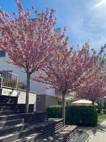 Pronájem bytu 2+kk, Praha - Hloubětín, Krylovecká, 55 m2