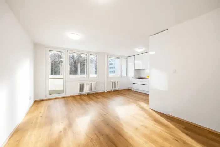 Prodej bytu 3+kk, Praha - Karlín, Molákova, 69 m2