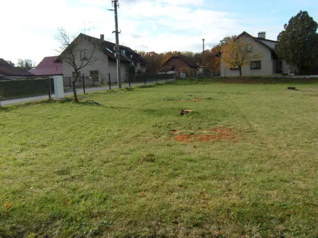 Prodej pozemku, Borovnice - Přestavlky, 3744 m2