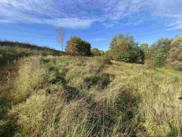 Prodej pole, Svijany, 1263 m2