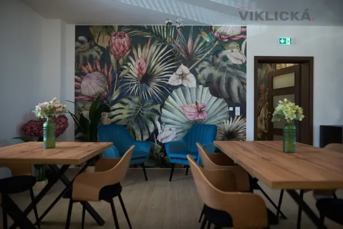 Pronájem ubytování, Slavonice, Nádražní, 220 m2