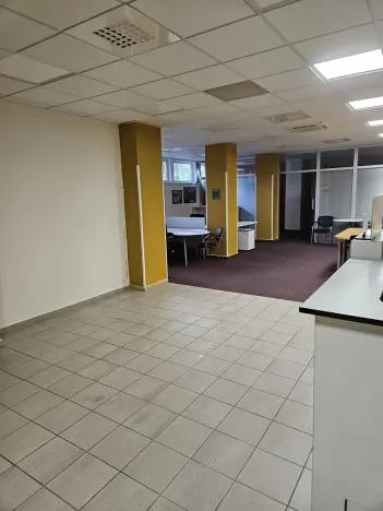 Pronájem kanceláře, Průhonice, Říčanská, 120 m2