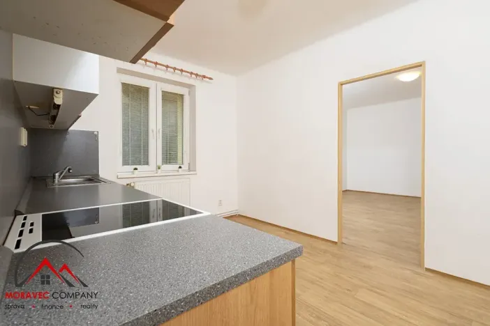 Pronájem bytu 1+1, Ostrava, Palackého, 41 m2