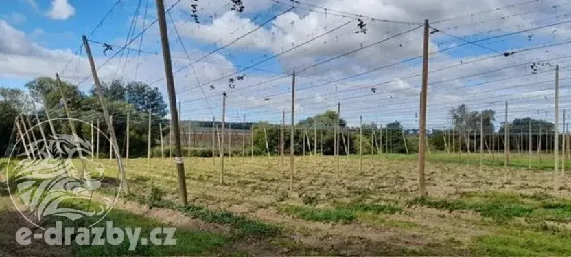 Dražba sadu/vinice, Lišany, 24161 m2