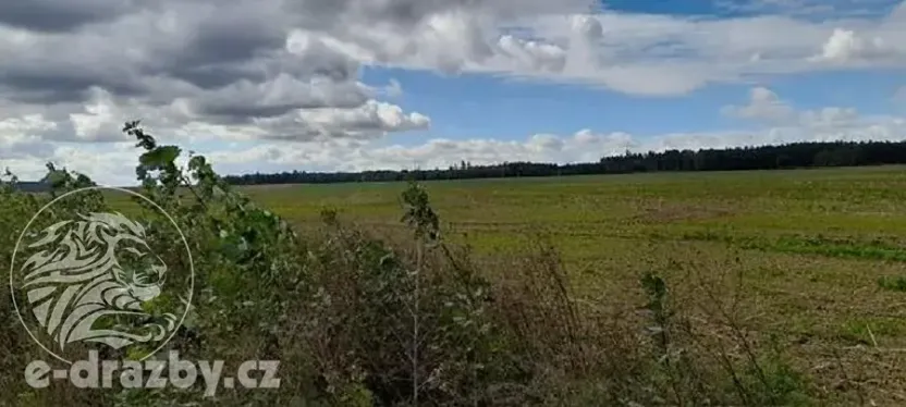 Dražba sadu/vinice, Lišany, 24161 m2