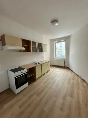 Pronájem bytu 1+1, Děčín, Podmokelská, 40 m2
