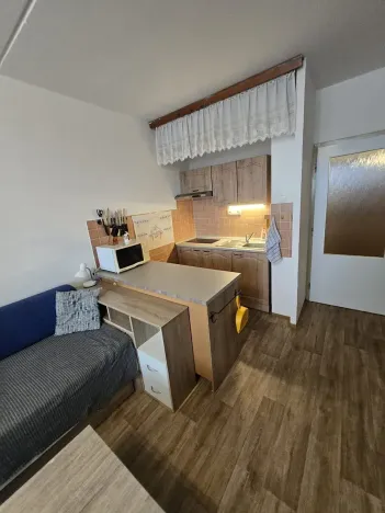 Prodej bytu 1+kk, Praha - Chodov, Majerského, 29 m2