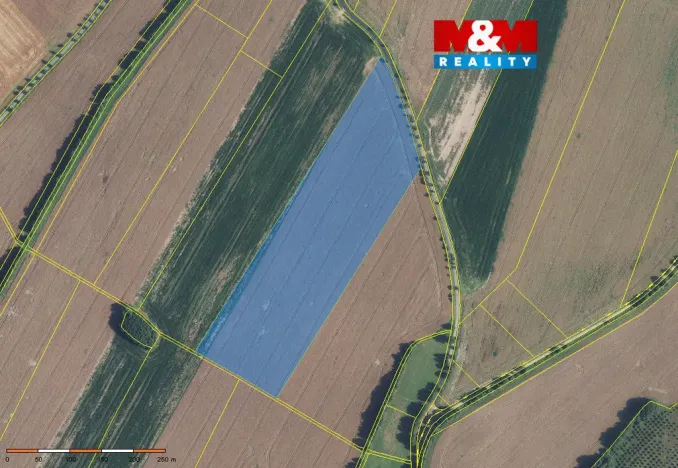 Prodej pole, Damníkov, 72416 m2