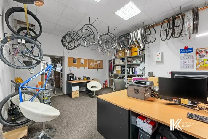 Prodej obchodního prostoru, Pardubice, Přeloučská, 779 m2