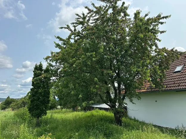 Prodej pozemku pro bydlení, Lešany, 1000 m2