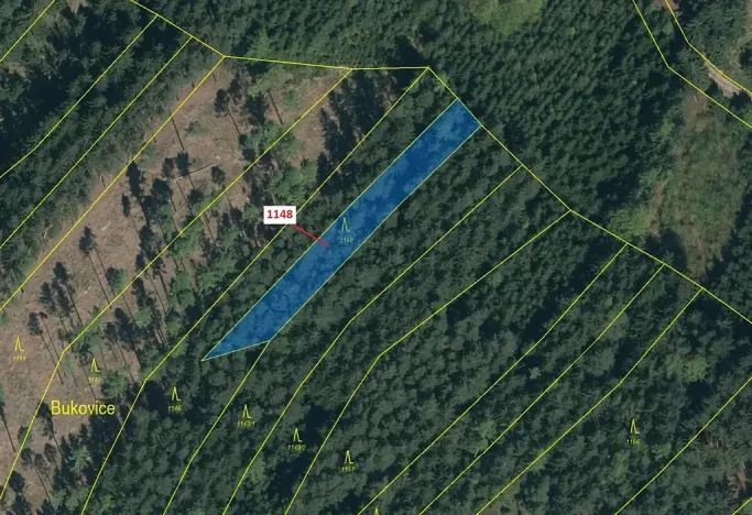 Dražba lesa, Vilice, 1105 m2