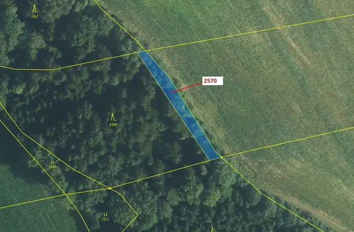 Dražba lesa, Písečná, 447 m2