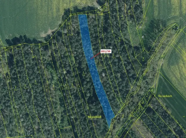 Dražba lesa, Koloveč, 3368 m2