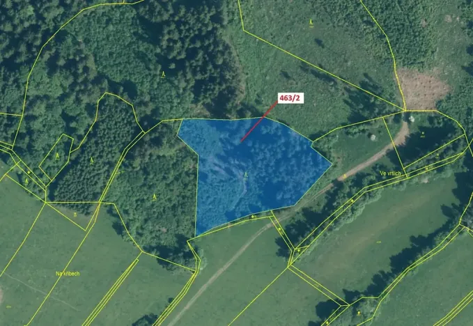 Dražba lesa, Nezdice na Šumavě, 10638 m2