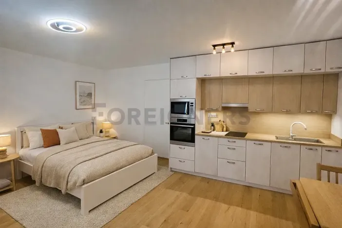 Pronájem bytu 1+kk, Brno, Bratislavská, 41 m2