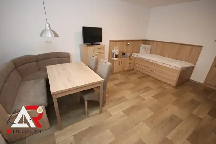 Pronájem bytu 1+kk, Brno, Táborská, 28 m2