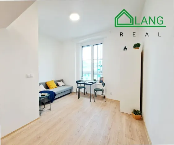 Pronájem bytu 1+kk, Brno, Koliště, 20 m2