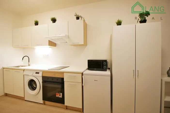 Pronájem bytu 1+kk, Brno, Francouzská, 21 m2
