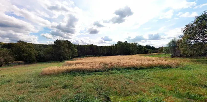 Prodej podílu pozemku pro bydlení, Doubrava, 12199 m2