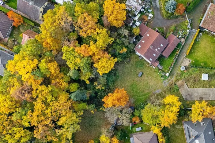 Prodej pozemku, Šestajovice, Martinů, 2016 m2