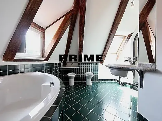 Pronájem bytu 4+kk, Praha - Malá Strana, Vlašská, 221 m2