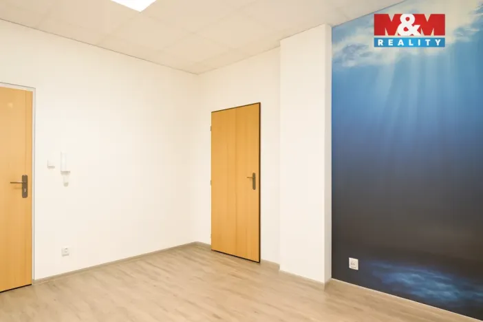 Pronájem kanceláře, Ostrava - Mariánské Hory, Raisova, 30 m2