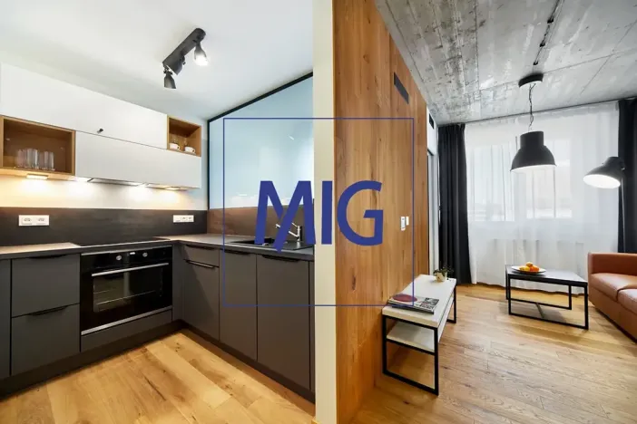 Pronájem bytu 2+kk, Brno, Cejl, 32 m2