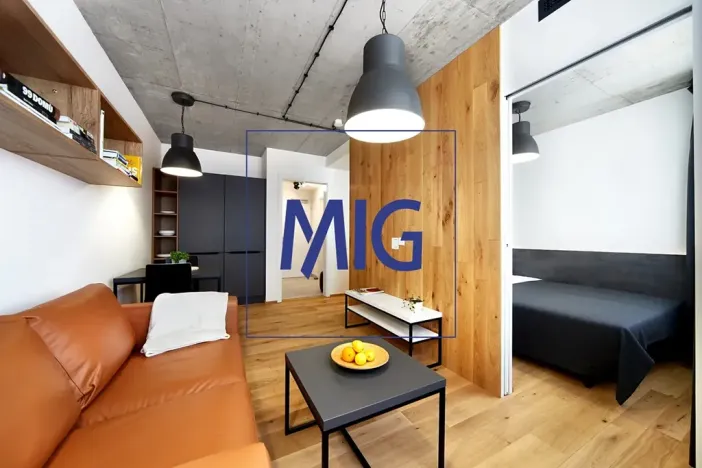 Pronájem bytu 2+kk, Brno, Cejl, 32 m2