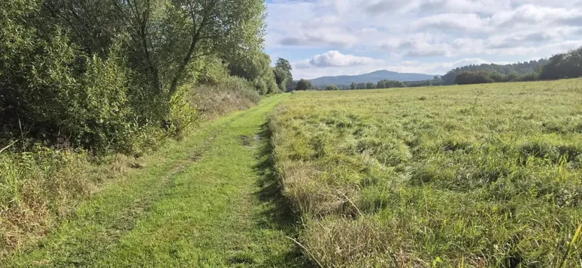 Prodej pozemku pro bydlení, Jestřebí, 1898 m2