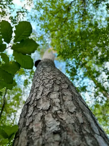 Prodej pozemku pro bydlení, Luštěnice, 9366 m2