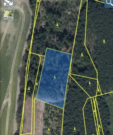 Prodej lesa, Veliny, 4517 m2