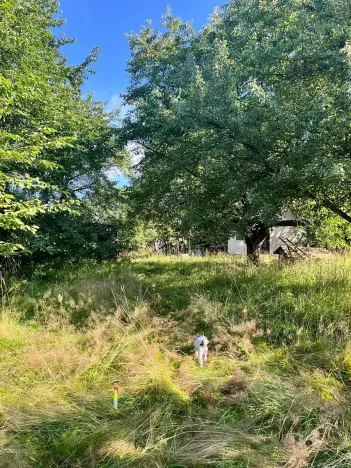 Prodej zahrady, Bludov, 1777 m2