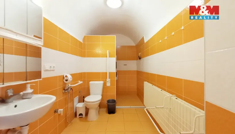 Prodej rodinného domu, Staré Město pod Landštejnem, 200 m2